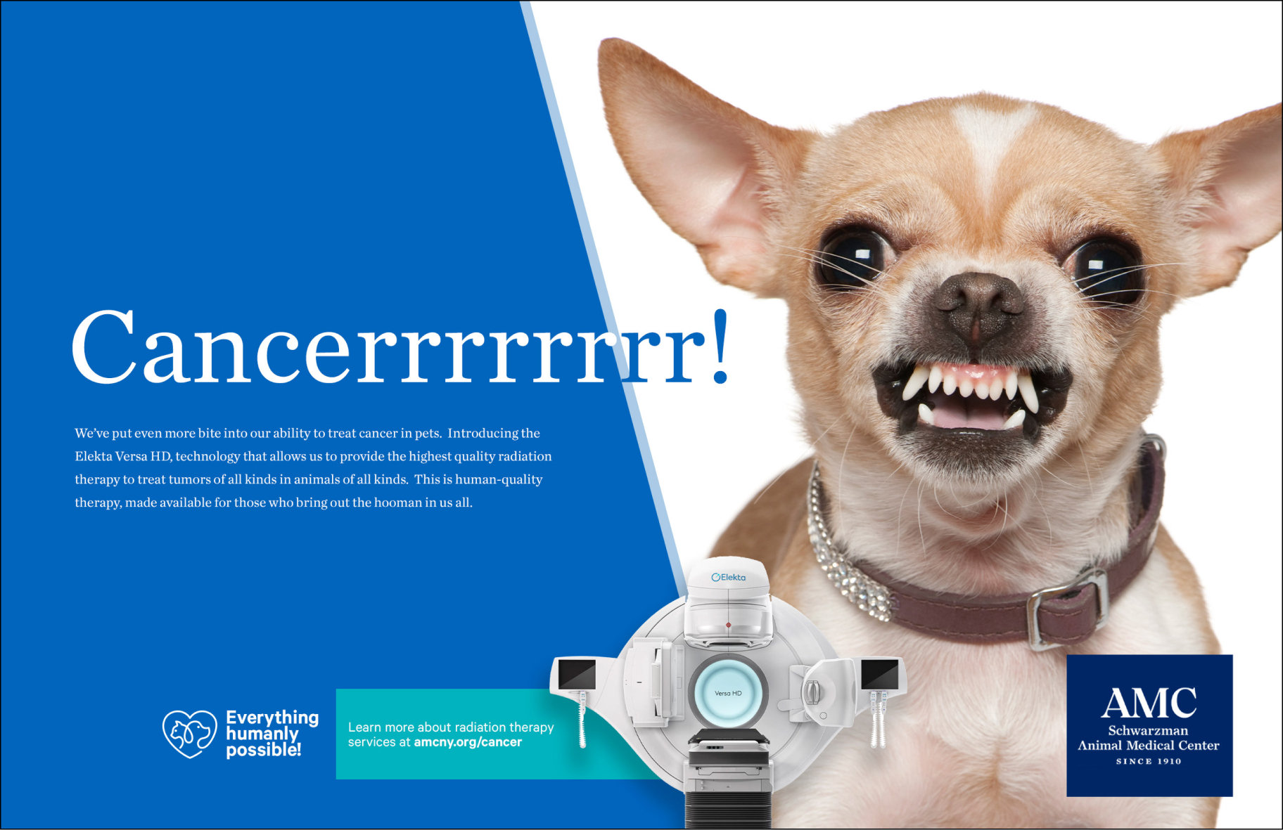 Cancer! We've put more bite into our ability to treat cancer in pets.